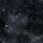 Crédito: Shutterstock