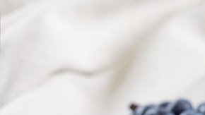 aderezo de arándanos y miel