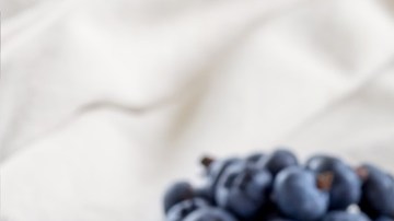 aderezo de arándanos y miel