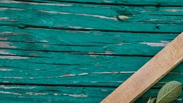 calamares con espinacas