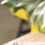 Bizcocho de chocolate y cacahuate a la miel