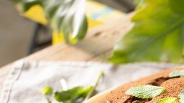 Bizcocho de chocolate y cacahuate a la miel