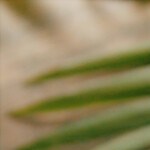 Photo © 2019 The Grosby Group
Agua de tamarindo