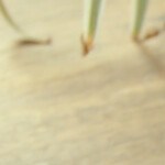 Photo © 2019 The Grosby Group

Caldo de res