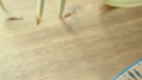 Photo © 2019 The Grosby Group

Caldo de res