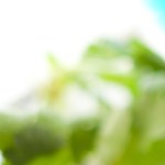 Brochetas de camarones