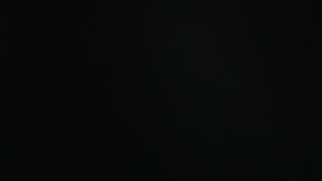 Brochetas de carne con setas