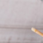 Brochetas de pollo y mango