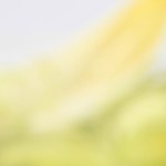 Brochetas de salmón y aguacate