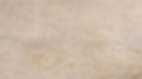 Plato de carne con arroz