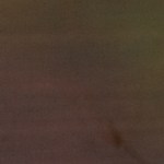 Guiso de calamares con chorizo