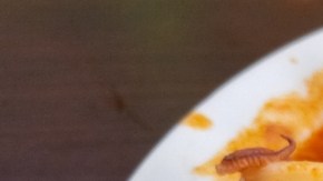 Guiso de calamares con chorizo