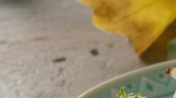 champiñones rellenos