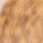 papas fritas en el airfryer