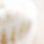 sandwich de pulled chicken picante