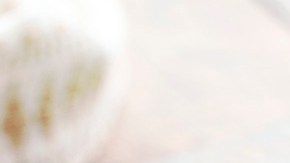 sandwich de pulled chicken picante