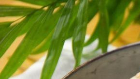 bowl de avena y maple