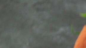 bowl de avena y durazno