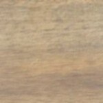 Chiles poblanos rellenos de carne