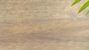 Chiles poblanos rellenos de carne