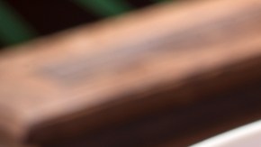 Lomo de cerdo en salsa agridulce