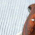 Lomo de cerdo relleno de frutos secos en salsa blanca