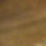 Atoles para el Día de los Muertos