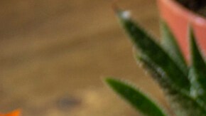 Atoles para el Día de los Muertos