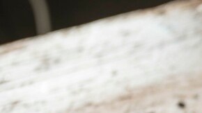 Photo © 2019 The Grosby Group Food Division

Crispy blood sausage with Raspberry sauce

raspberry sauce
raspberries
2 tbsp sugar
1 1/2 cup  of rum

cook over medium heat
for 10 min and strain

black sausage
2 small black sausages
1 1/2 tbsp of whipping cream

cut puff pastry in squares
fill with blood sausage and wrap
fry in sunflower oil
place sauce points