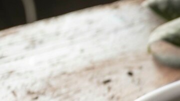 Photo © 2019 The Grosby Group Food Division

Crispy blood sausage with Raspberry sauce

raspberry sauce
raspberries
2 tbsp sugar
1 1/2 cup  of rum

cook over medium heat
for 10 min and strain

black sausage
2 small black sausages
1 1/2 tbsp of whipping cream

cut puff pastry in squares
fill with blood sausage and wrap
fry in sunflower oil
place sauce points