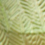 Fideos de verdura con aderezo de mostaza