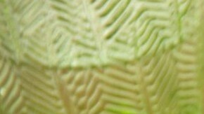 Fideos de verdura con aderezo de mostaza