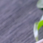 captura.00_00_01_22.Still053