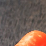 estofado de pavo y vegetales