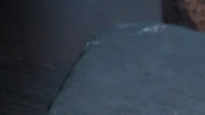 Brochetas de pato con salsa hoisin