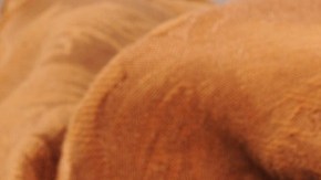 Mini pizzas en Airfryer