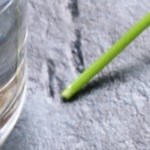 Lomo de cerdo con arándanos