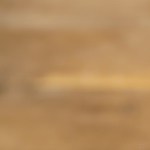 Brochetas de solomillo y champiñones