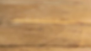 Brochetas de solomillo y champiñones