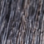 Brochetas de camarón con salsa de tamarindo