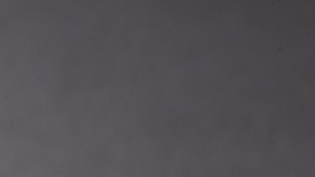 Brócoli crujiente en Airfryer