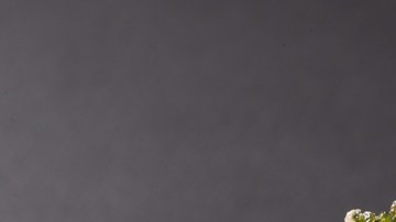 Brócoli crujiente en Airfryer