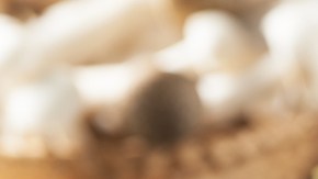 Alcachofas en Airfryer