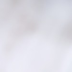 Delicious,Egg,Muffins,With,Ham,,Cheese,And,Vegetables