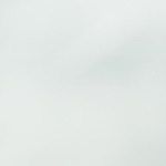 Brochetas de pollo al limón