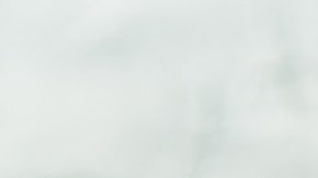 Brochetas de pollo al limón