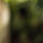 sopa de verduras con guisantes