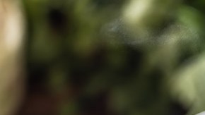 sopa de verduras con guisantes