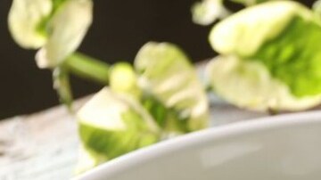 espaguettis de calabacin y pesto