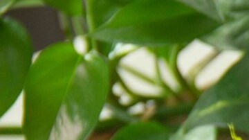 Huevos de pascua sorpresa